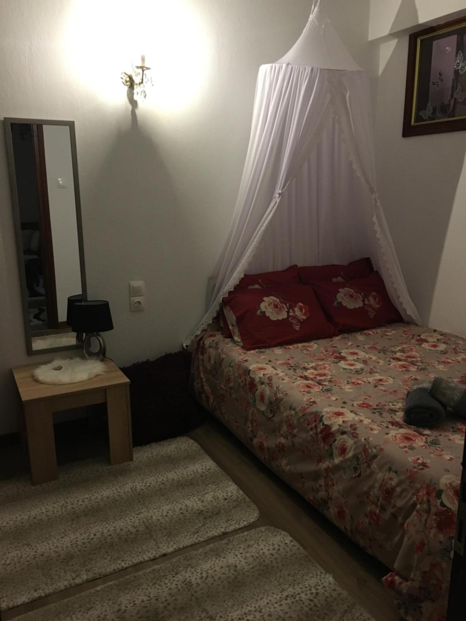 Agapi'S House Apartment Metsovo Exterior photo