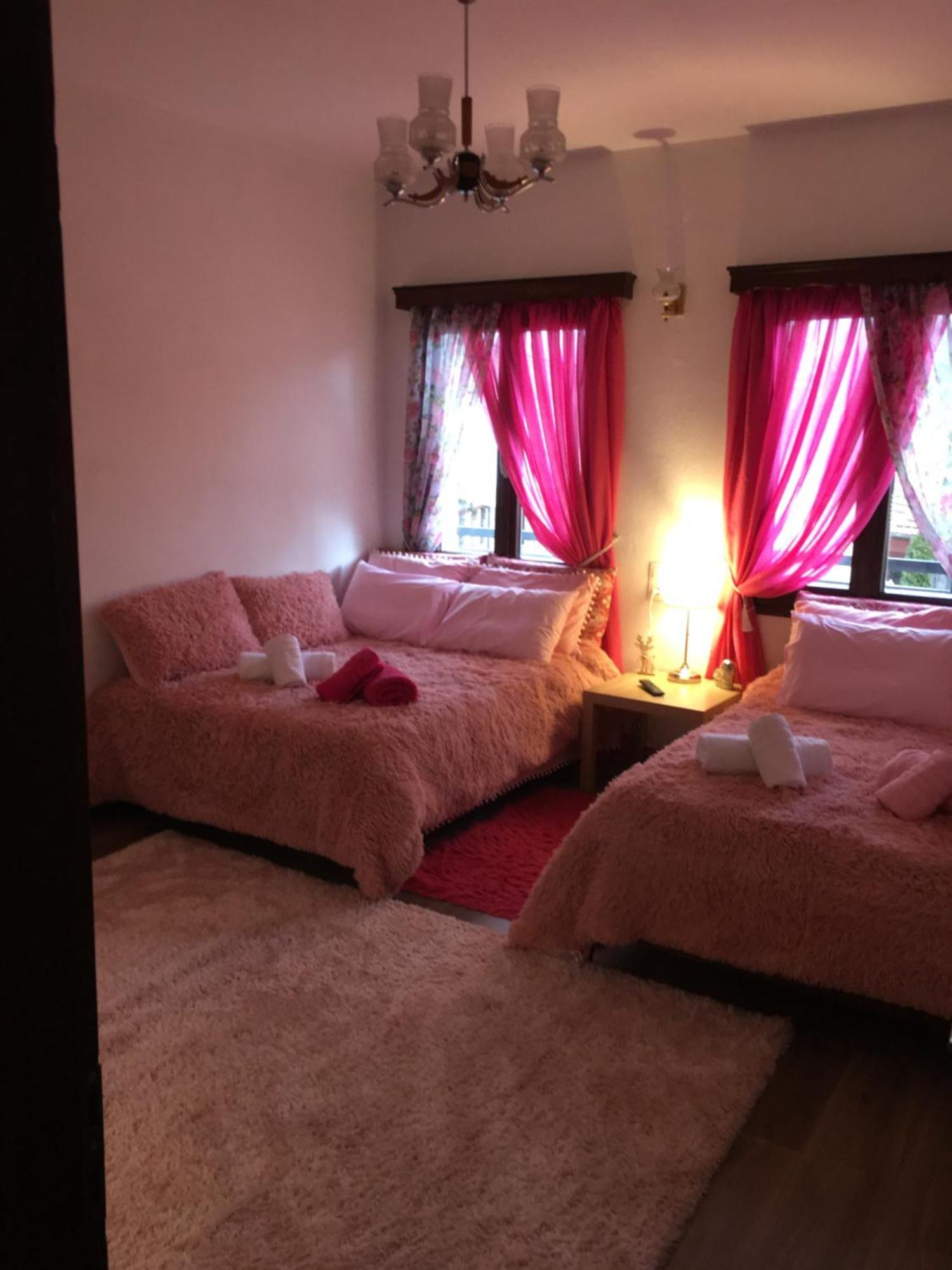 Agapi'S House Apartment Metsovo Exterior photo