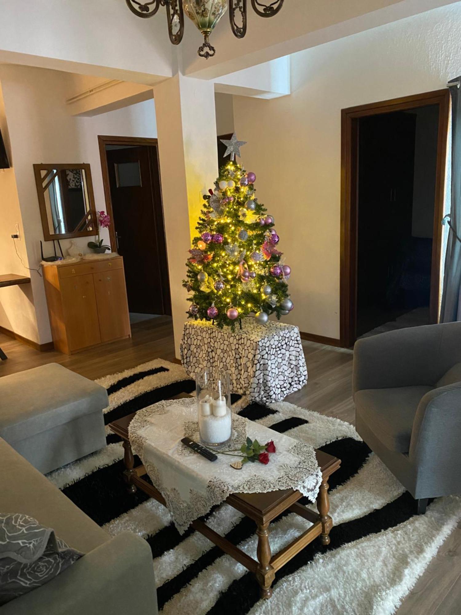 Agapi'S House Apartment Metsovo Exterior photo